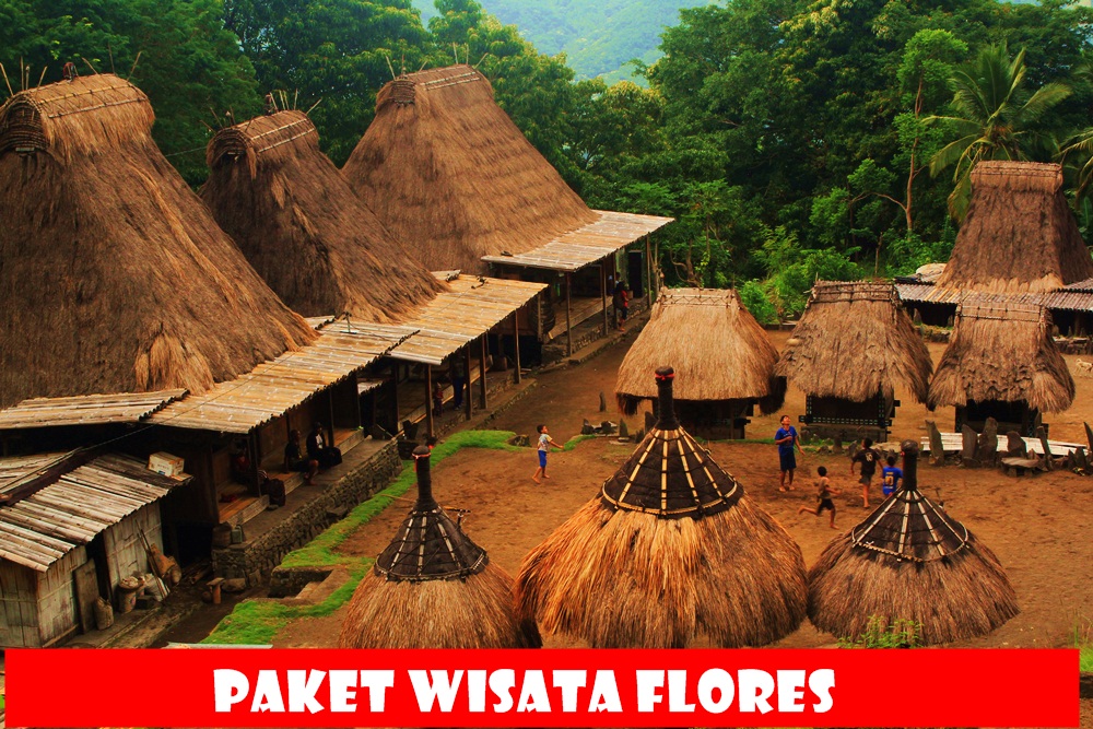 tour flores komodo, paket tour labuan bajo, paket wisata labuan bajo 2021, paket tour flores, paket wisata flores, tour labuan bajo, paket wisata labuan bajo 2021