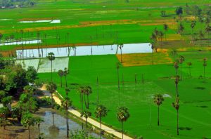 paket wisata sumba