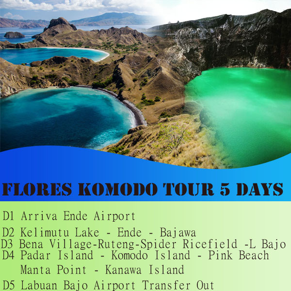 FLORES KOMODO TOUR 5 DAYS flores komodo tour
