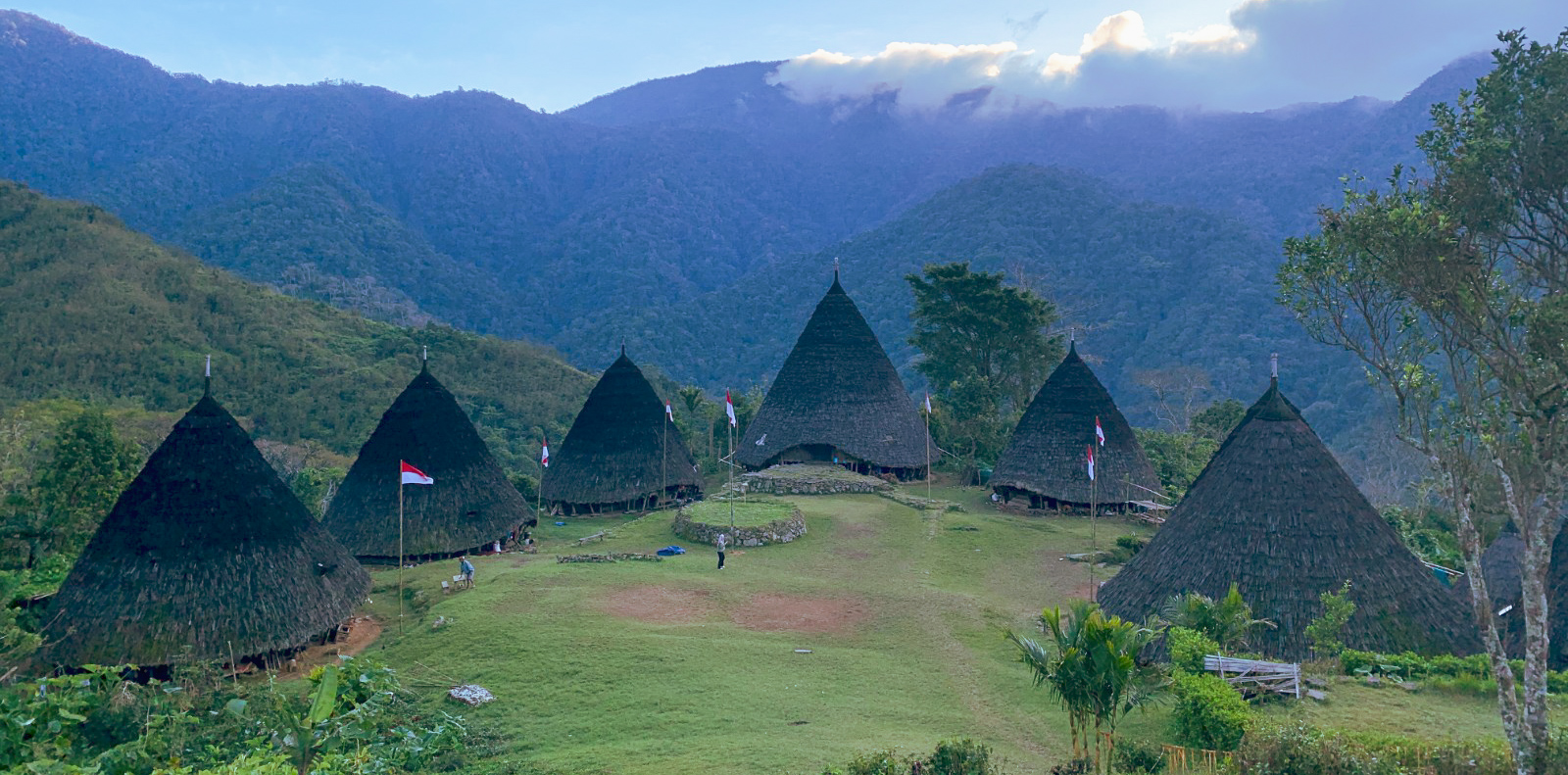 Ultimate Flores Komodo Tour: 11 Days of Unforgettable Adventure flores komodo tours